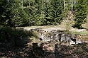 a 316